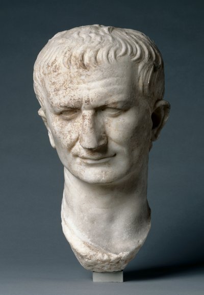 Portret Hoofd van een Staatsman, mogelijk Vespasianus door Roman Imperial Period