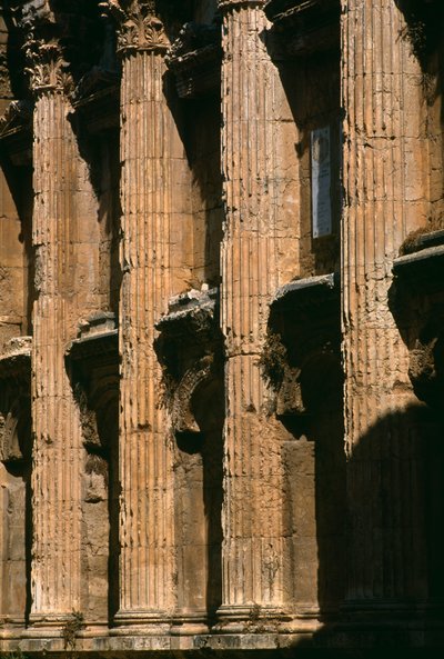 Tempel van Bacchus (detail) door Roman Imperial Period