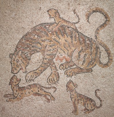 Tijgerin en welpen, 300s door Roman Imperial Period