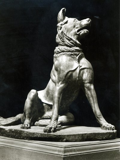 Bull Mastiff Hond door Roman Roman