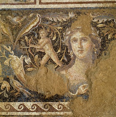 Vloer van een Romeinse villa in Zippori (Nazareth) met scènes uit het leven van Dionysus, detail (3e-4e eeuw na Chr.) door Roman Roman