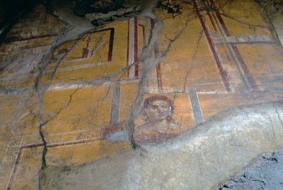 Fresco uit het Huis van de Gouden Cupido