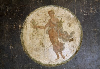 Fresco met medaillon, rechtervleugel in Huis van Vettii, Pompeii (UNESCO Werelderfgoedlijst) door Roman Roman
