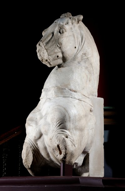 Voorkant van een paard (marmer) door Roman Roman