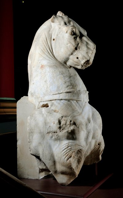 Voorkant van een paard door Roman Roman