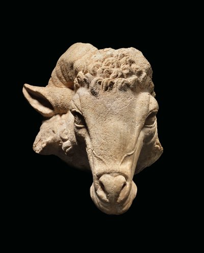 Hoofd van een ram, ca. 1e eeuw v.Chr. - 1e eeuw n.Chr. door Roman Roman