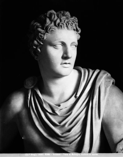 Meleagris (detail), Romeinse kopie van een origineel door Scopas door Roman Roman