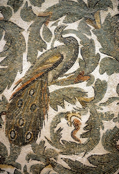 Pauw, Detail van Mozaïek - 4e eeuw na Christus, Bardo Museum, Tunis door Roman Roman