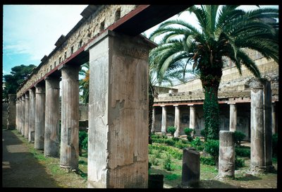 Peristyle van het huis van Argo, 5e eeuw v.Chr.-1e eeuw n.Chr. door Roman Roman