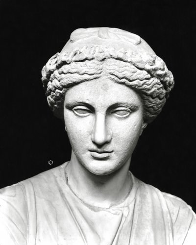 Standbeeld van Clio met een rol, detail van het hoofd (steen) (zw/w foto) door Roman Roman