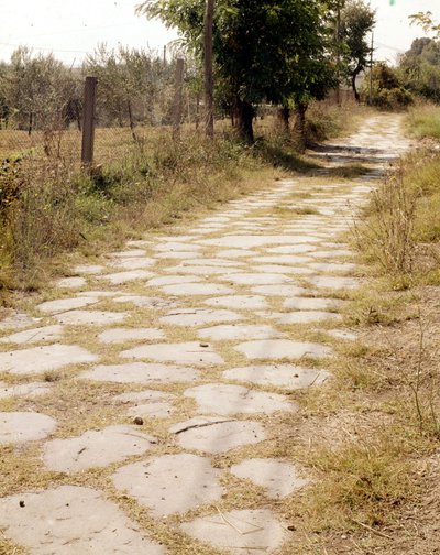 Via Flaminia, Rome door Roman Roman