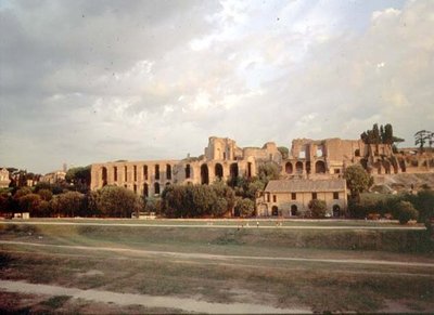 Uitzicht op de Palatijn vanaf het Circus Maximus door Roman Roman