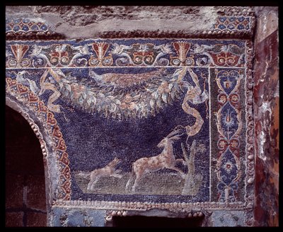 Wandmozaïeken van het nymphaeum van de casa di Nettuno e Anfitrite, locatie van Herculaneum, 5e eeuw v.Chr.-1e eeuw n.Chr. door Roman Roman