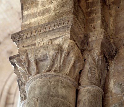 Olifanten (gekerfd kapiteel van het schip) door Romanesque
