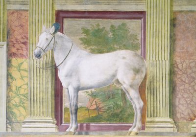 Hal van de paarden, detail met een portret van een grijs paard uit de stallen van Ludovico Gonzaga III van Mantua door Romano Giulio
