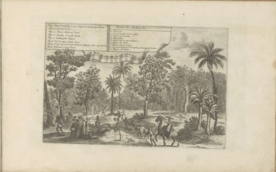 Bomen en specerijen door Romeyn de Hooghe
