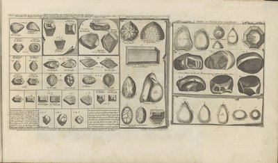 Diamanten, robijnen en parels door Romeyn de Hooghe