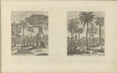 Landschappen met mangobomen, kokos- en palmbomen door Romeyn de Hooghe