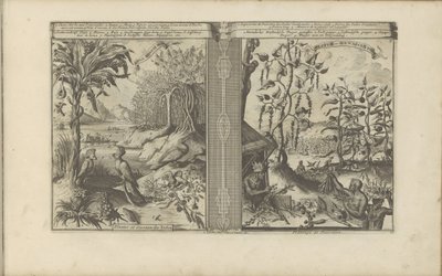 Planten, vogels en pepervelden door Romeyn de Hooghe