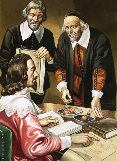 Charles I en William Harvey over het hart door Ron Embleton