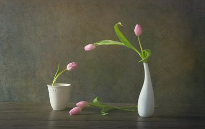 Stilleven met elegante roze tulpen door Rong Wei
