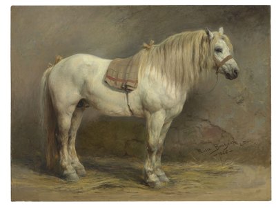 Een wit paard door Rosa Bonheur
