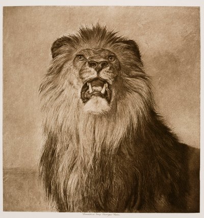  door Rosa Bonheur