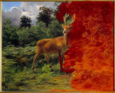 Hert die naar de wind luistert door Rosa Bonheur