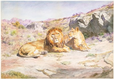  door Rosa Bonheur
