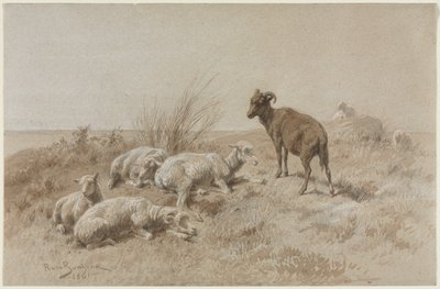 Schapen door Rosa Bonheur