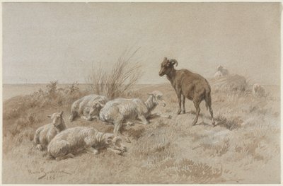 Schapen door Rosa Bonheur