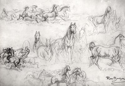Studie van paarden door Rosa Bonheur