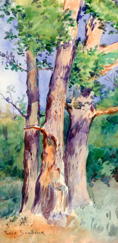 Studie van bomen door Rosa Bonheur