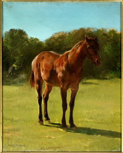 Studie van paard bai kers door Rosa Bonheur