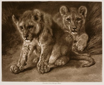  door Rosa Bonheur