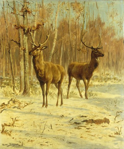 Twee herten in een open plek in de winter door Rosa Bonheur