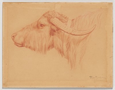  door Rosa Bonheur