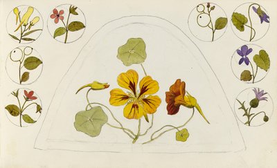 Ontwerpen met Oost-Indische kers en andere bloemen door Rosa Brett