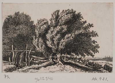 Landschap door Rosalie Holm