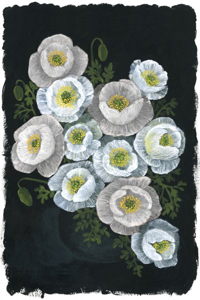 Elegante witte klaprozen door Rosana Laiz Blursbyai