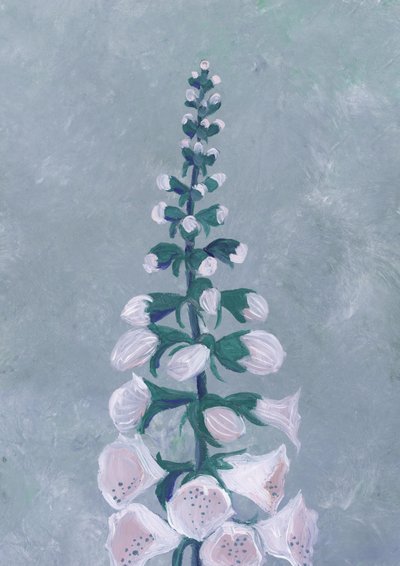 Witte vingerhoedskruidbloem door Rosana Laiz Blursbyai