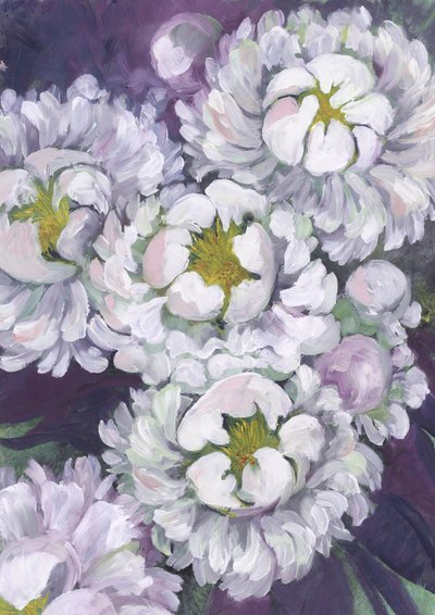 Witte pioenrozen in bloei door Rosana Laiz Blursbyai