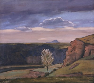 Uitzicht vanaf Žalov richting Říp Berg door Rudolf Vejrych