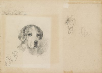 Portret van een hond: Windsor door Rudolf Wimmer