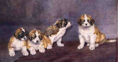 Puppy
