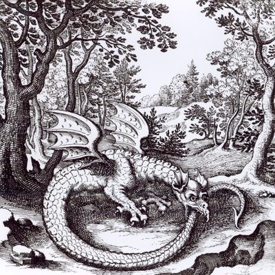 Een Draak in het Bos, uit 