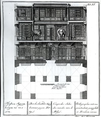 Een Doorsnede van de Hal der Zeldzaamheden naar het Zuiden, illustratie in Kamers van de St. Petersburgse Keizerlijke Academie van Wetenschappen Bibliotheek en Galerie met Plannen, Gevels en Profielen door Russian School