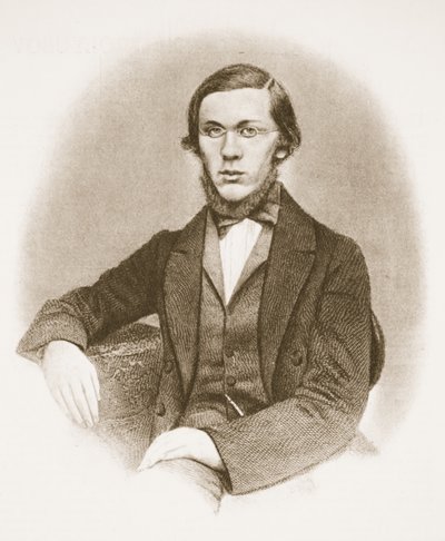 Nikolai Dobrolyubov door Russian School