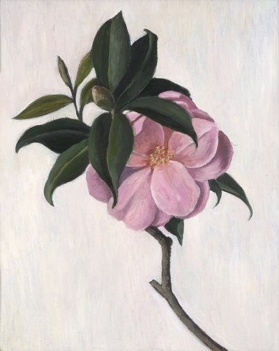 Camellia, 1998 door Ruth Addinall