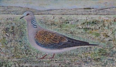 Tortelduif door Ruth Addinall